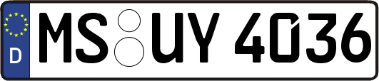 MS-UY4036