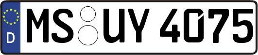 MS-UY4075