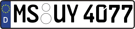 MS-UY4077