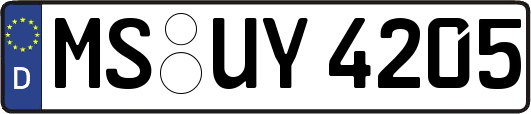 MS-UY4205