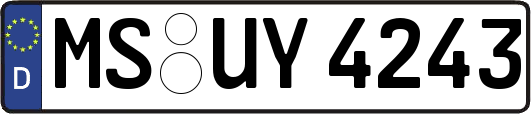 MS-UY4243