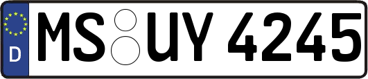 MS-UY4245