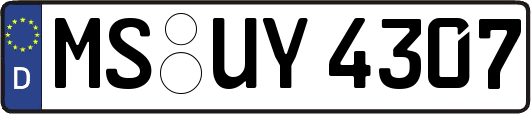MS-UY4307