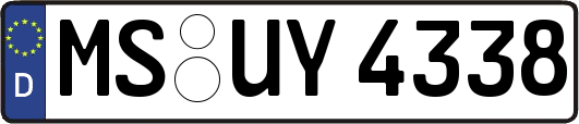 MS-UY4338