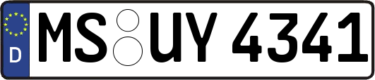 MS-UY4341