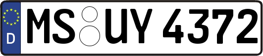 MS-UY4372