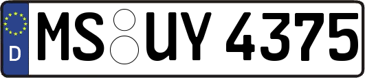MS-UY4375