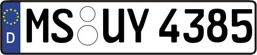 MS-UY4385