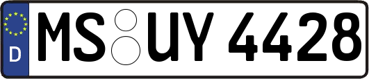 MS-UY4428
