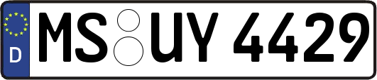 MS-UY4429