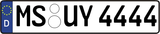 MS-UY4444