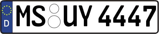 MS-UY4447