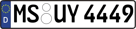 MS-UY4449
