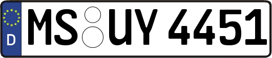 MS-UY4451