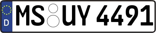 MS-UY4491