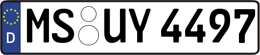 MS-UY4497
