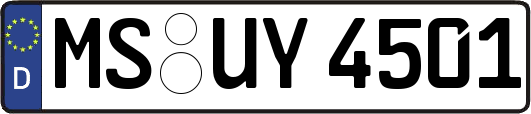 MS-UY4501