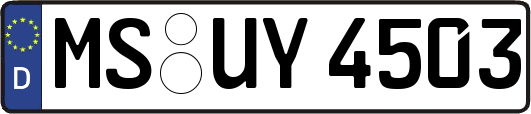 MS-UY4503