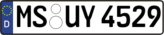 MS-UY4529