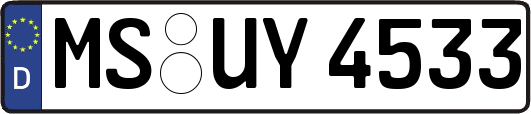 MS-UY4533
