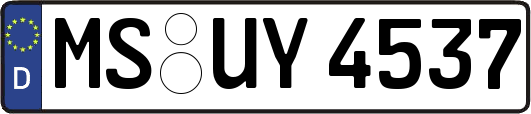 MS-UY4537