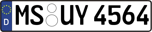 MS-UY4564