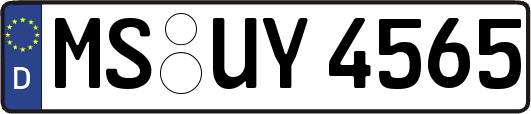 MS-UY4565