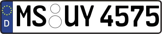 MS-UY4575