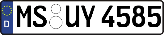 MS-UY4585