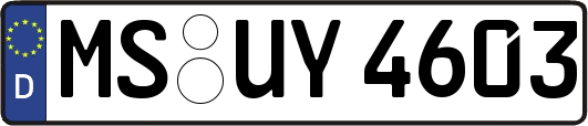 MS-UY4603