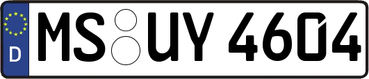 MS-UY4604
