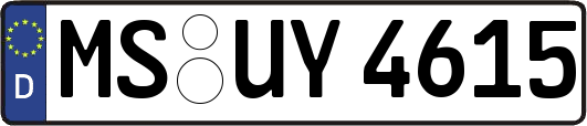 MS-UY4615