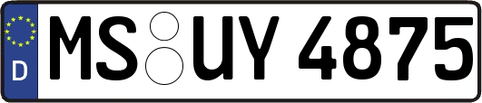 MS-UY4875