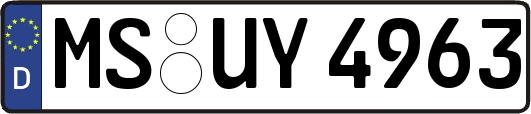 MS-UY4963