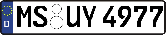 MS-UY4977