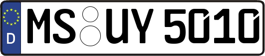 MS-UY5010