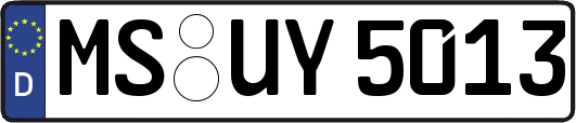 MS-UY5013