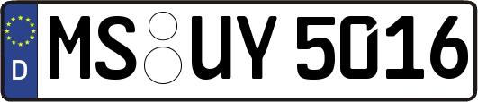 MS-UY5016