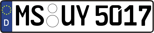 MS-UY5017