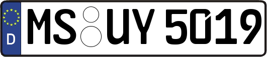 MS-UY5019
