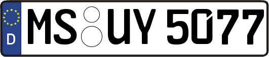 MS-UY5077