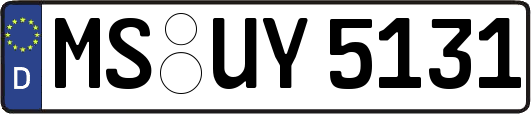 MS-UY5131