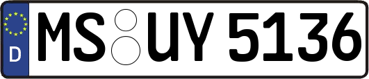 MS-UY5136