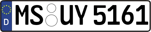 MS-UY5161