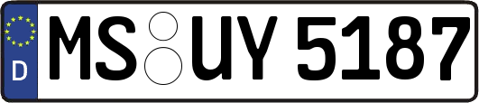 MS-UY5187