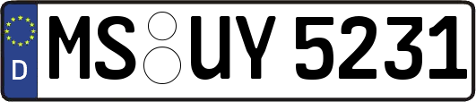 MS-UY5231