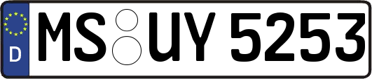 MS-UY5253