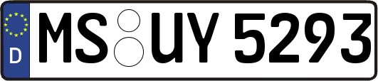 MS-UY5293