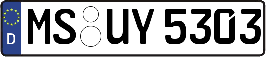 MS-UY5303