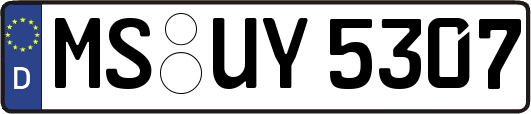 MS-UY5307